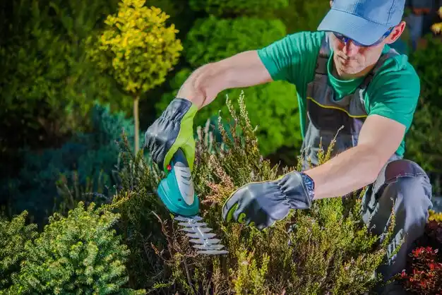 landscaping services Albany